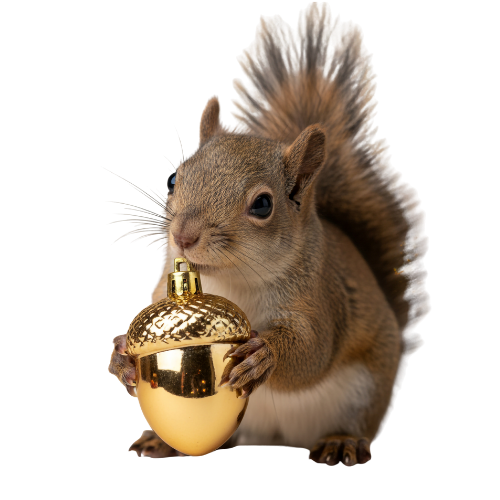 Squirrel protecting golden acorn